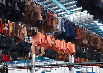 Leather Drying