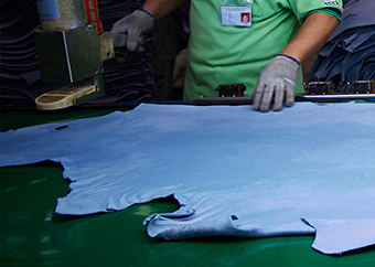 Wet Blue Grade Sorting