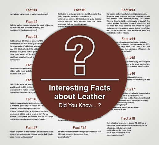 Interesting Facts About Leather